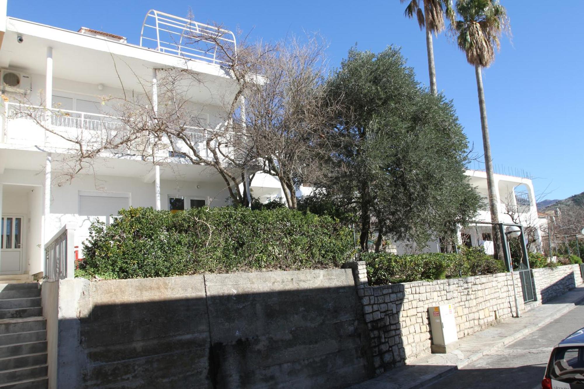 Apartments Popovic Petrovac Luaran gambar